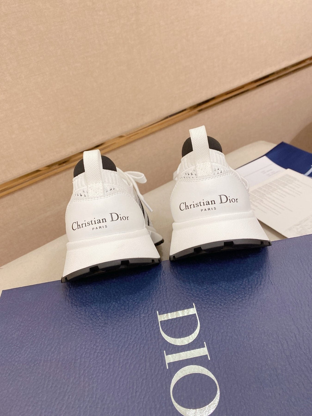Dior B30 Mesh Sneakers