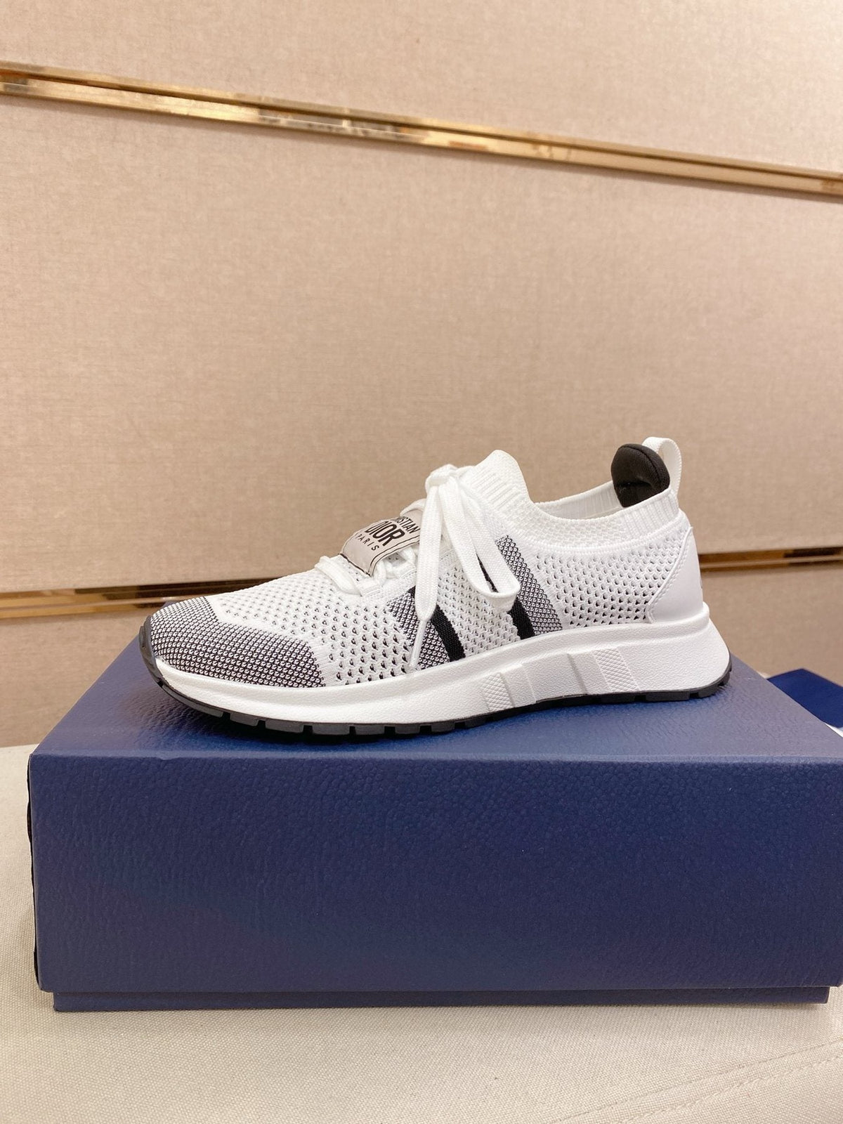Dior B30 Mesh Sneakers